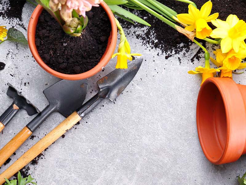 assortment of gardening tools